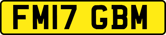FM17GBM