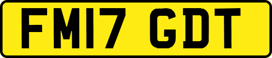 FM17GDT