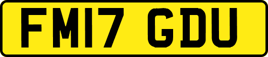 FM17GDU