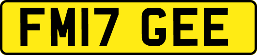 FM17GEE