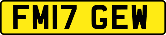 FM17GEW