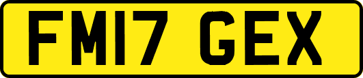 FM17GEX