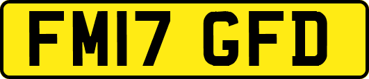 FM17GFD