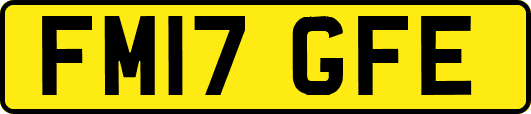 FM17GFE