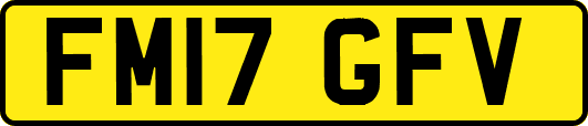 FM17GFV