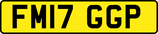 FM17GGP