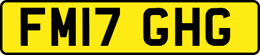 FM17GHG
