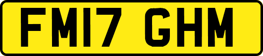FM17GHM