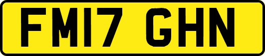 FM17GHN