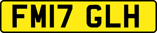 FM17GLH