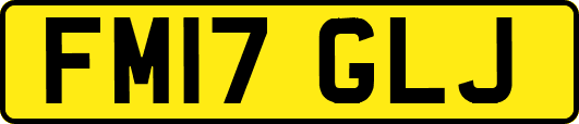 FM17GLJ