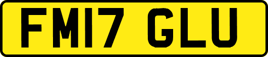 FM17GLU