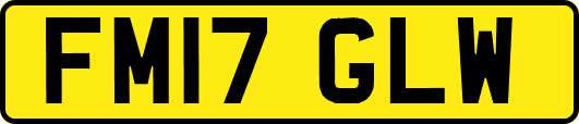 FM17GLW