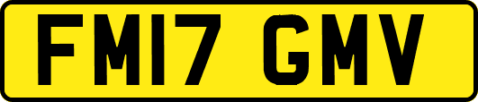 FM17GMV