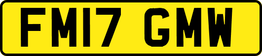FM17GMW