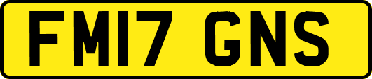 FM17GNS