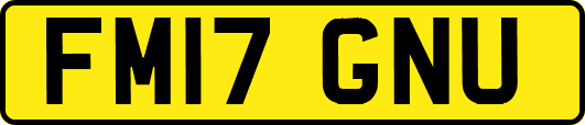 FM17GNU