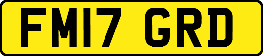 FM17GRD