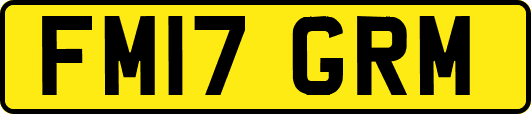 FM17GRM