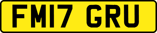 FM17GRU