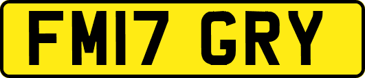 FM17GRY