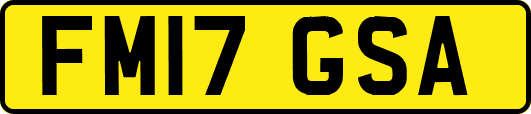 FM17GSA