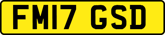 FM17GSD