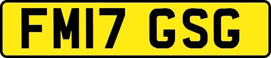 FM17GSG