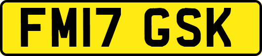 FM17GSK