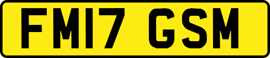 FM17GSM