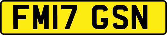 FM17GSN