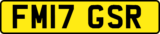 FM17GSR