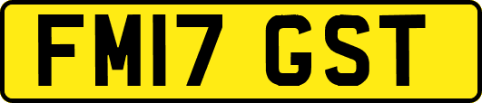 FM17GST
