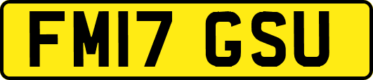 FM17GSU