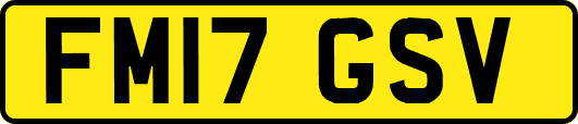 FM17GSV