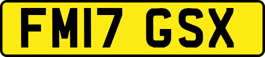 FM17GSX