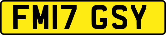 FM17GSY