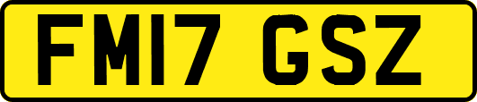 FM17GSZ