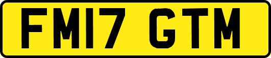 FM17GTM