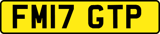 FM17GTP