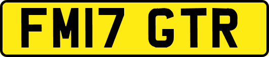 FM17GTR