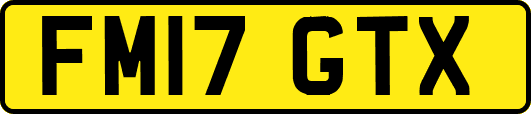 FM17GTX