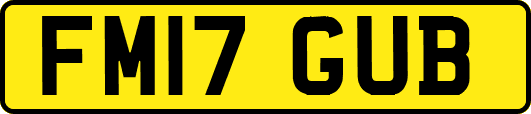 FM17GUB