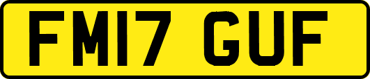 FM17GUF