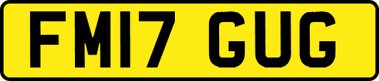 FM17GUG