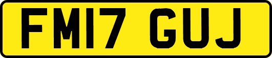 FM17GUJ