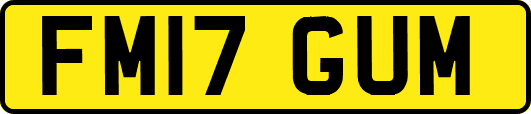 FM17GUM