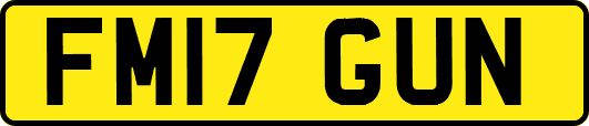 FM17GUN