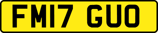 FM17GUO