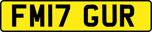 FM17GUR
